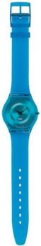 Наручные часы SWATCH SFN107