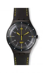 Наручные часы SWATCH YWB100